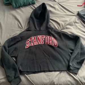 Cropped stanford sweatshirt.